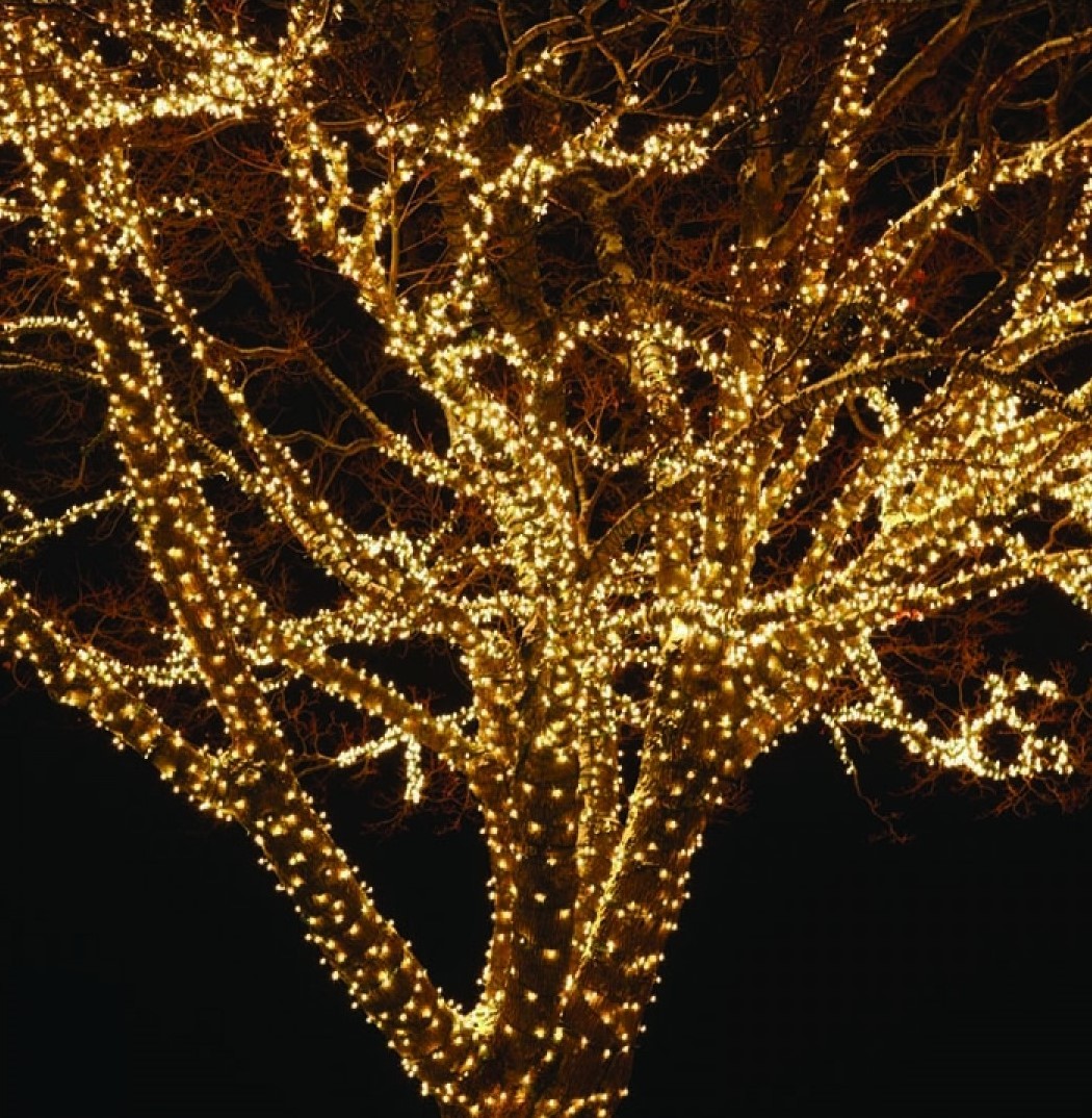 100 LED Θερμά Χριστουγεννιάτικα Λαμπάκια 3mm Εξωτερικού Χώρου