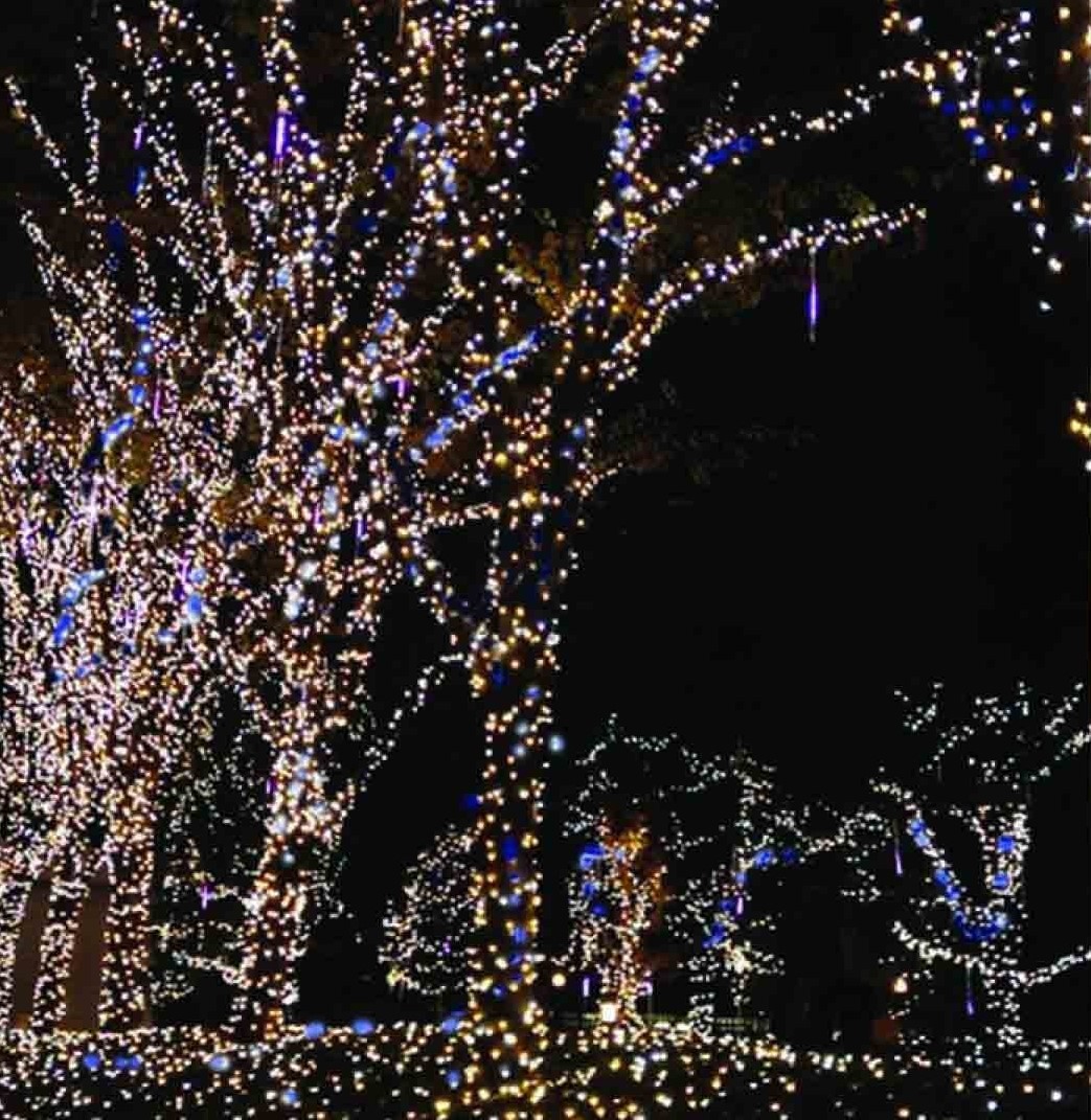 100 LED Λευκά Χριστουγεννιάτικα Λαμπάκια 3mm Εξωτερικού Χώρου