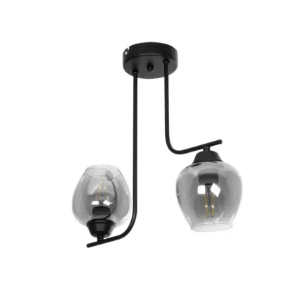 GloboStar® GLOSSA 201-0091 Vintage Φωτιστικό Οροφής Μπάλα Δίφωτο 2 x E27 IP20 Μαύρο Μέταλλο με Μαύρο Φιμέ Γυαλί - Μ40 x Π15 x Υ17cm